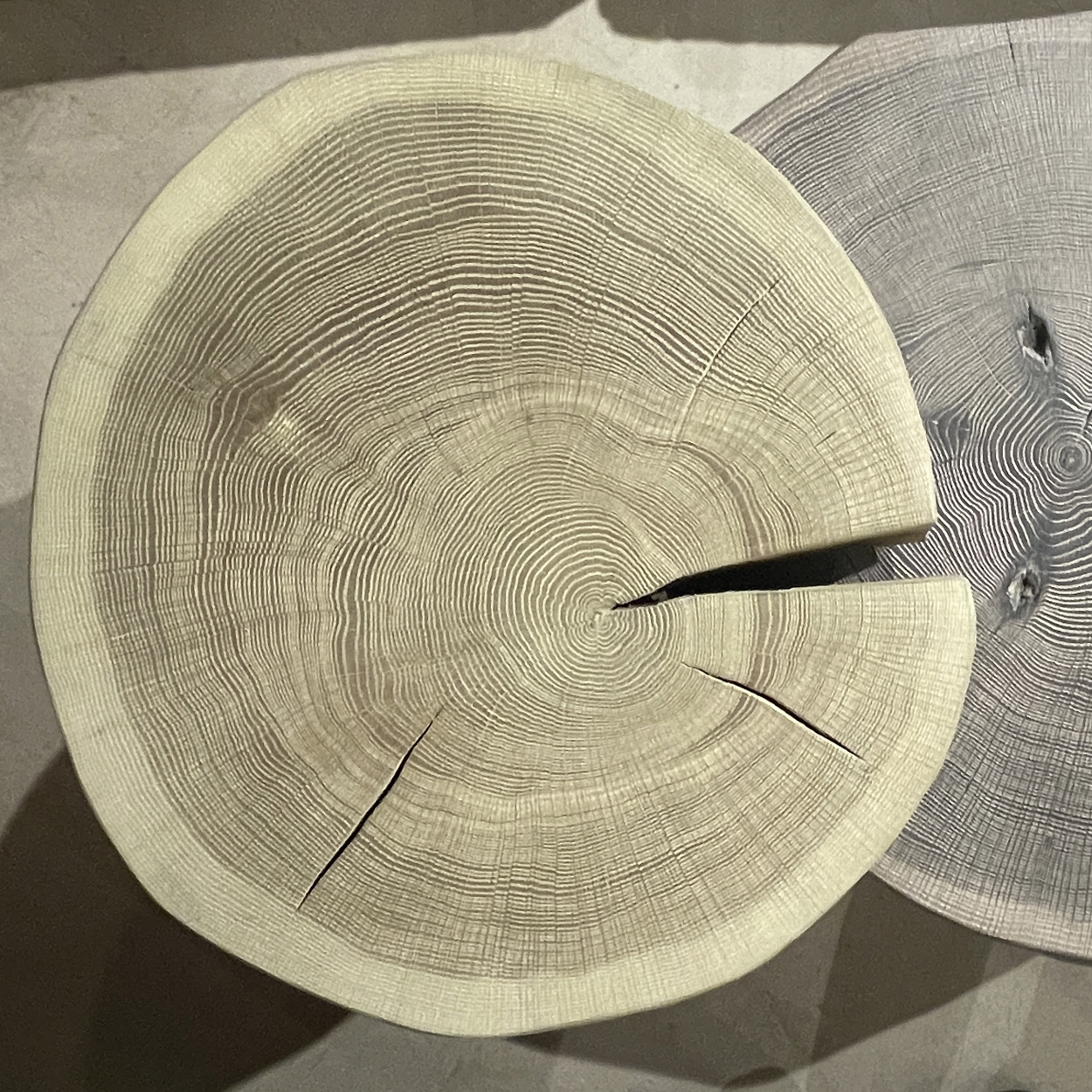 BC 05 Stomp - Eiche gebürstet ML2