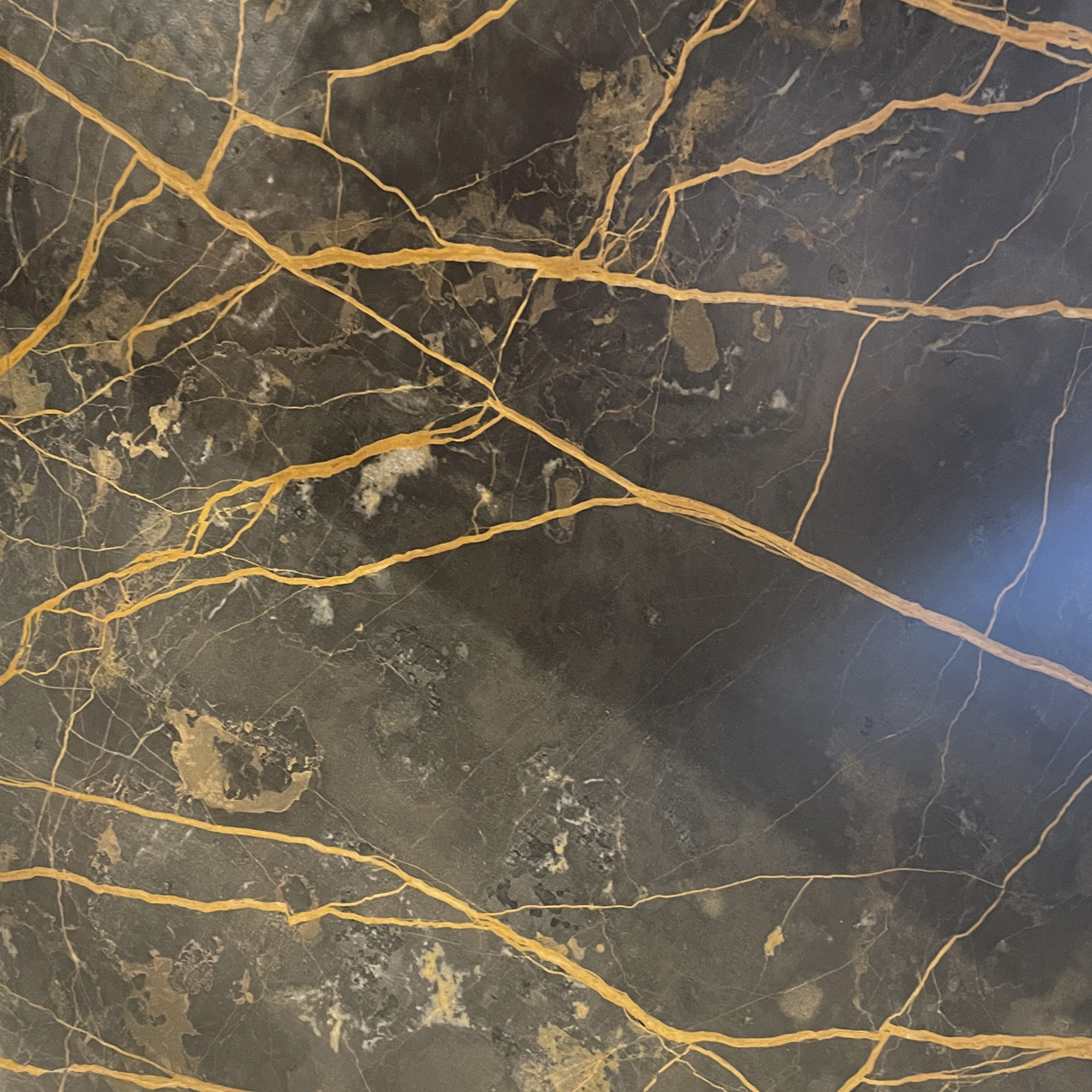 Janua BC17  T-Rox Tisch